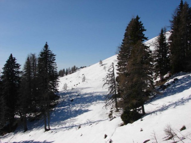 Pogled na planino Javorje z vzhoda