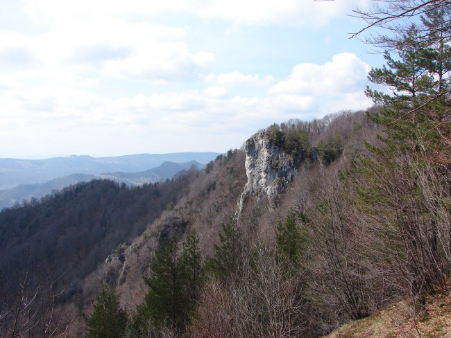 Kopitnik - Gore 5.4.2008 - foto povečava