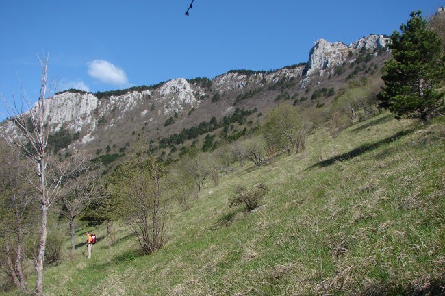 Čaven 3.5.2008 - foto povečava