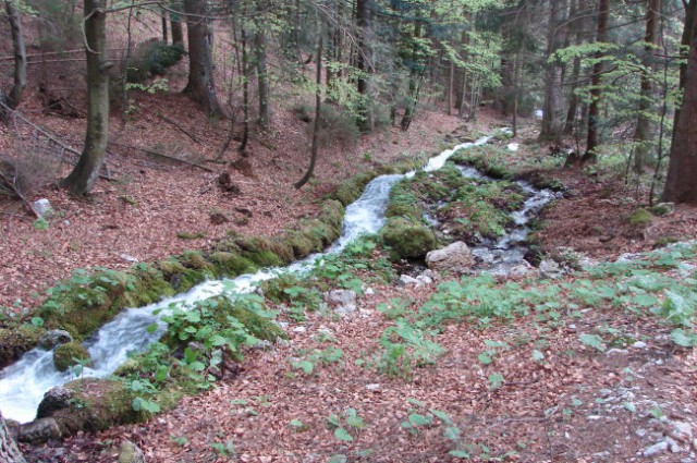 Golica - Struška 11.5.2008 - foto