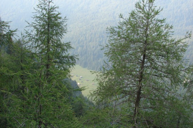 Pri lovski koči pod Krstenico pogled na Planino Blato.