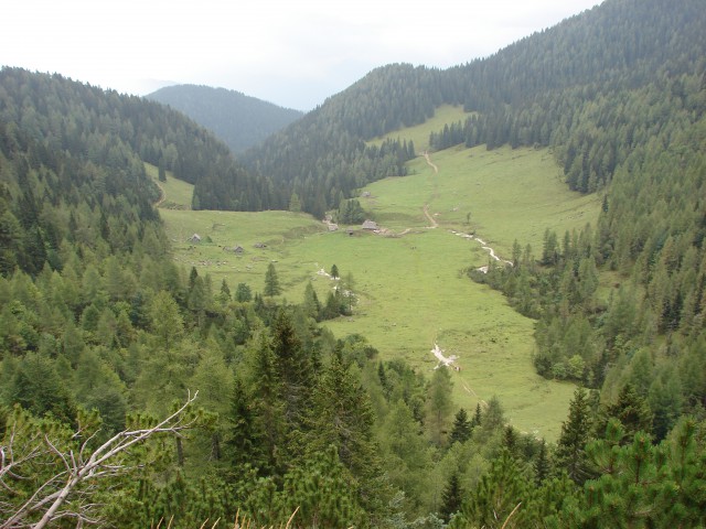 Na poti z Rudnega polja pogled na planino Konjščica