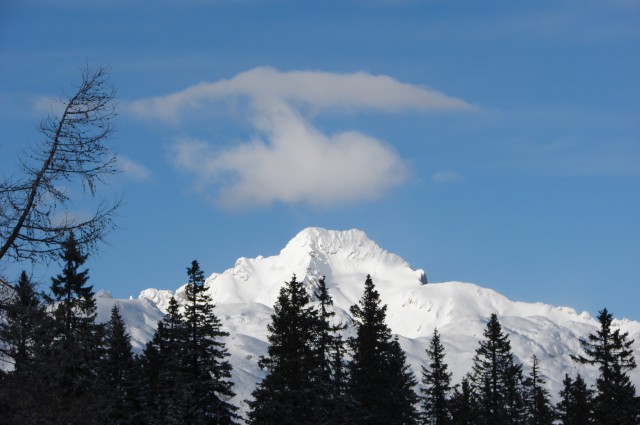 Velika planina 1.1.2009 - foto