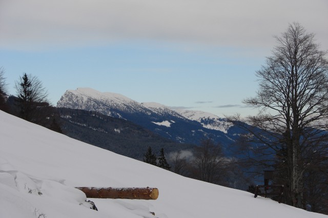 Velika planina 1.1.2009 - foto