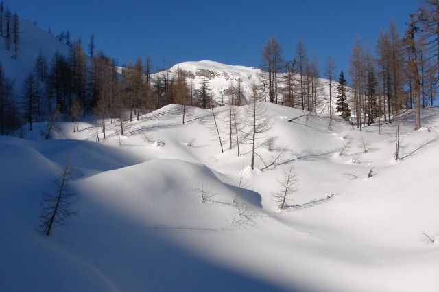 Veliki vrh - Dleskovec 11.1.2009 - foto