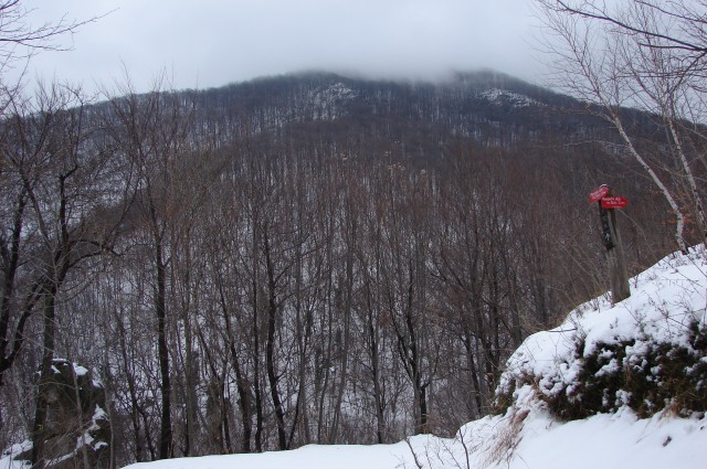 Doma še sonce in -3°C, na poti do Poljčan se je spremenilo, oblačno +7°C