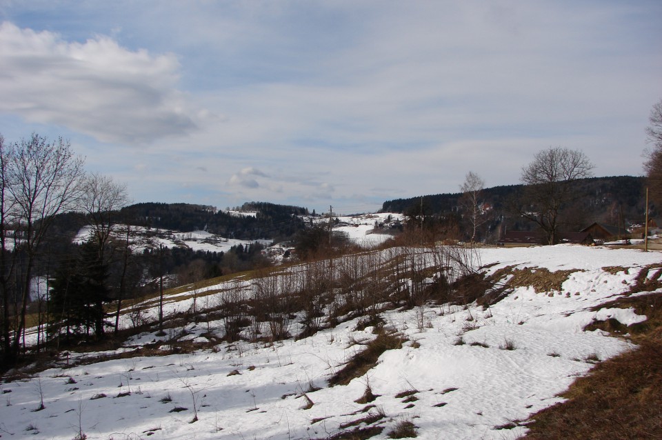 Pohorje - južna pot 15.2.2009 - foto povečava