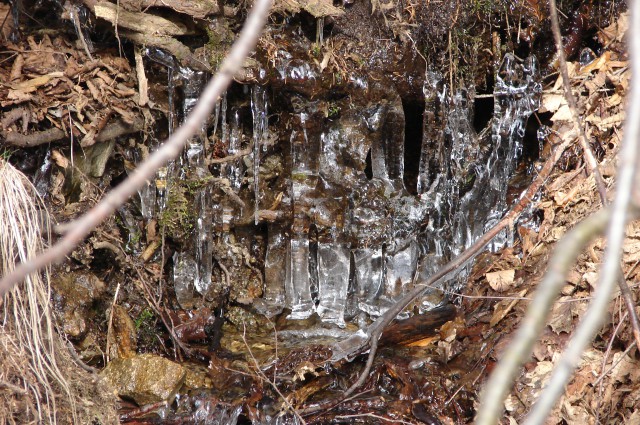 Pohorje - južna pot 15.2.2009 - foto