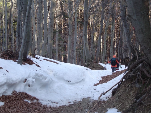 Pohorje - južna pot 15.2.2009 - foto