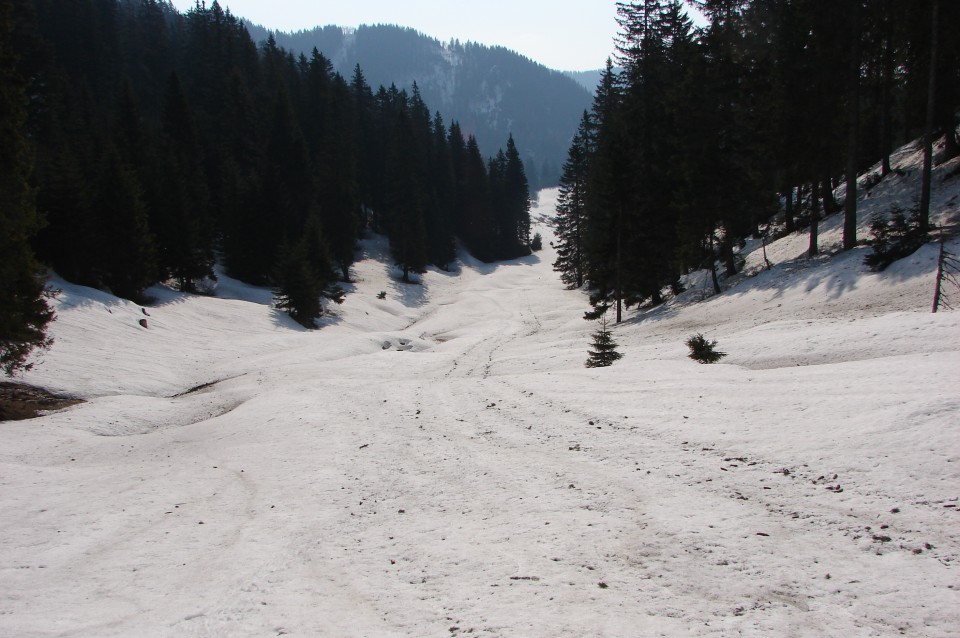 Pogled nazaj proti planini