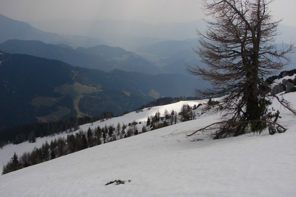 Planina Javorje - tam se bova vračala