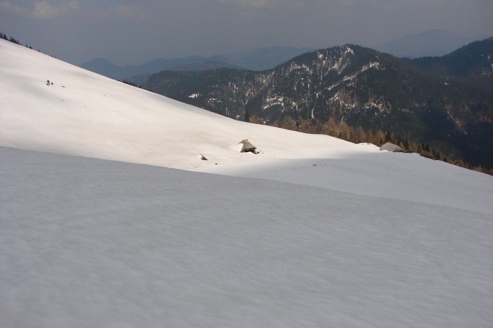 Planina Javorje