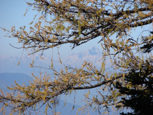 Pogled na Triglav