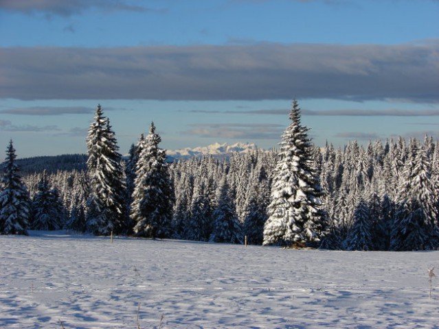 Lovrenška jezera 28.1.2007 - foto