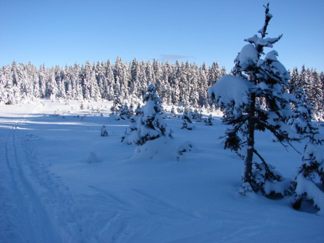 Lovrenška jezera 28.1.2007 - foto