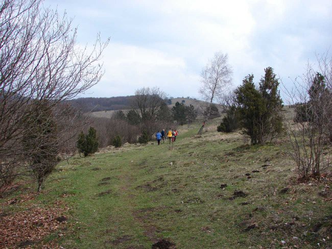 Gradiška tura-Nanos-Vremščica 1.4.2007 - foto povečava