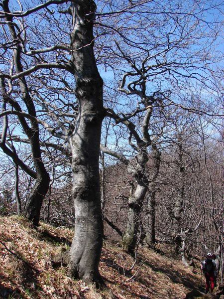 Krvavica-Čemšeniška planian 9.4.2007 - foto