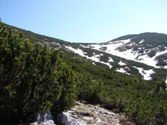 Hudičev boršt-Mali Grintovec-Kališče 21.4.200 - foto