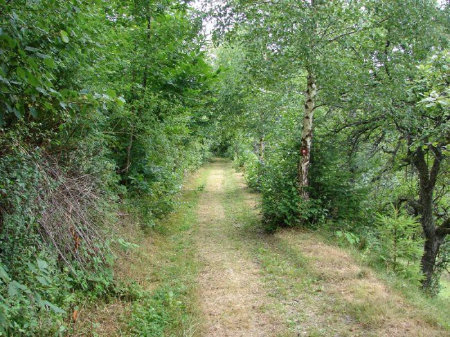 Lovrenška jezera iz Lovrenca 29.7.2007 - foto povečava