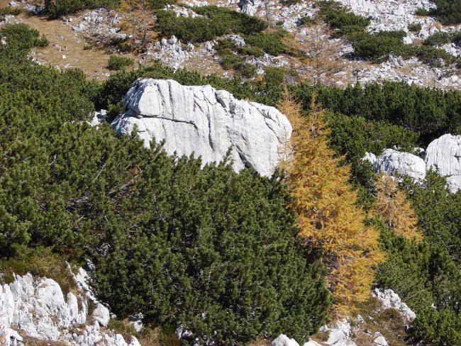 Viševnik 14.10.2007 - foto povečava