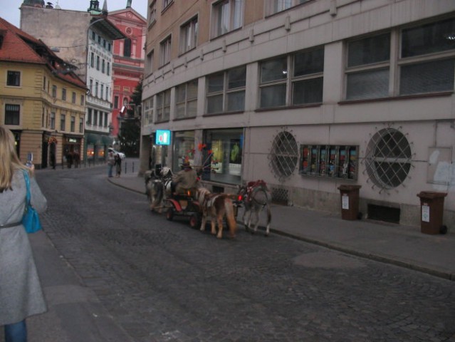 Ljubljana 3.12.06 - foto