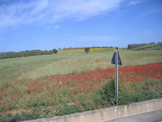 Sardinija - foto povečava