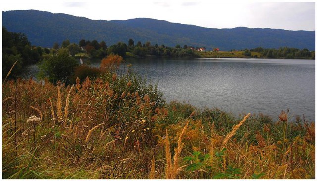 Kočevsko jezero v jeseni... - foto