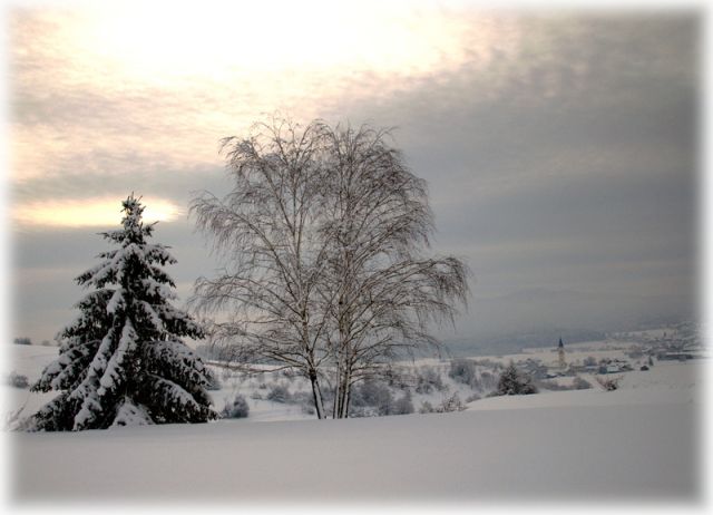 Zimski prebliski - foto