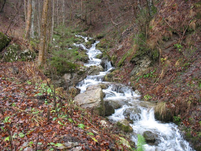 Velka planina 10.12.06 - foto povečava