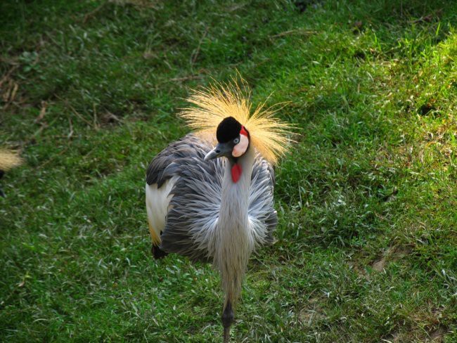 Narava - foto povečava