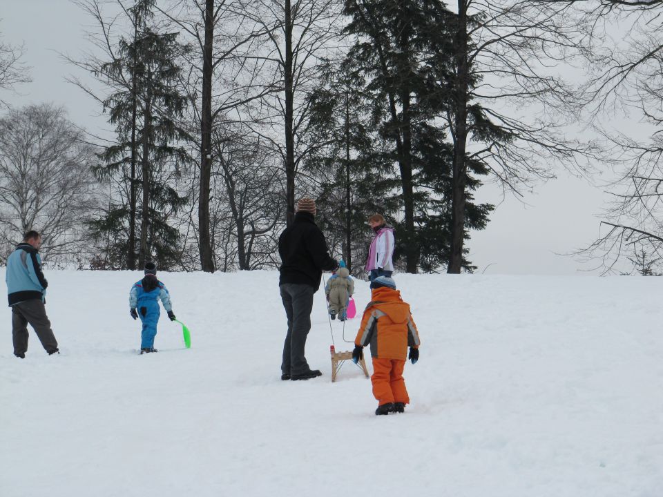 Januar 2010 - foto povečava