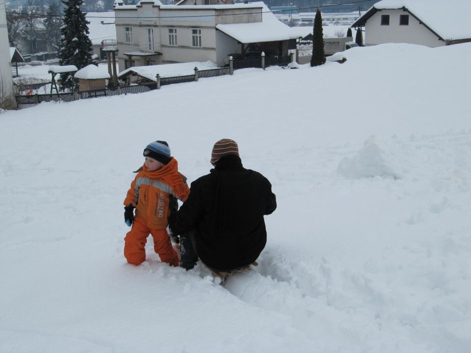 Januar 2010 - foto povečava