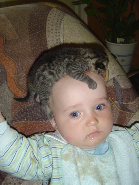 No evo. Kdo je bil tako nesramen in mi dal mačko na glavo??