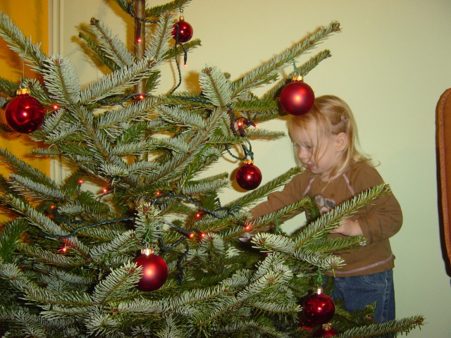 December 2008 - foto
