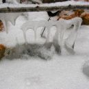 NARAVA UMETNIK
