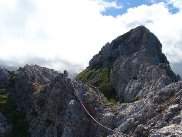 TOLSTA KOŠUTA - foto