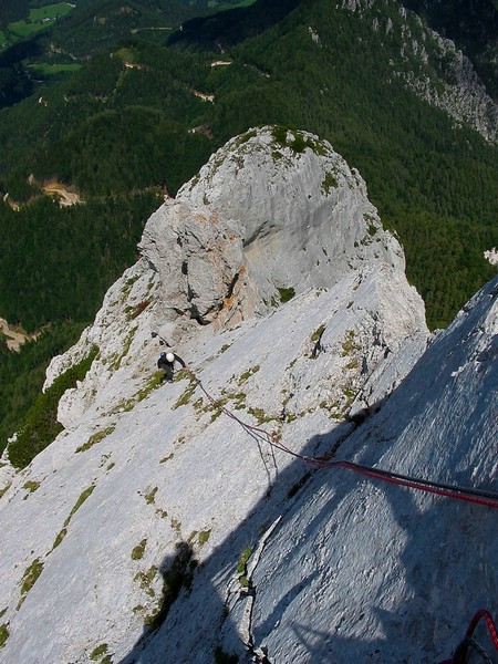 TOLSTA KOŠUTA - foto