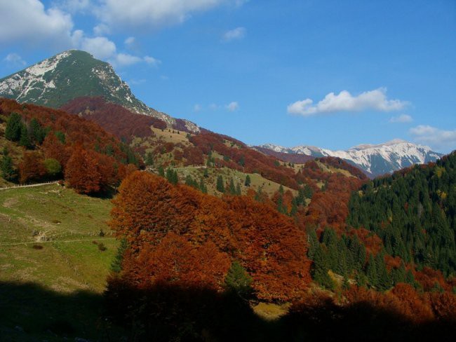 JESEN POD ŽABIŠKIM KUKOM