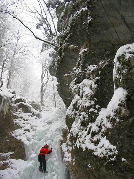 PEKEL - foto povečava