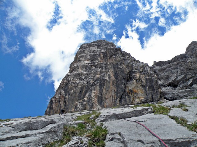 TORRE CARLA MARIA - foto