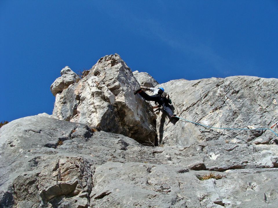 Vseh devet - foto povečava