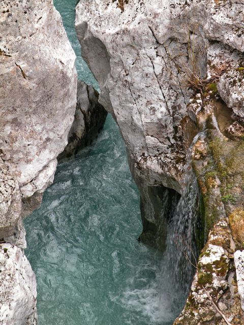 Muštace - foto