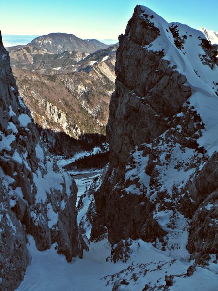 Begunjščica - foto povečava