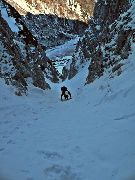 Begunjščica - foto povečava