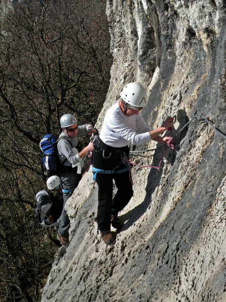 Obilo železja - foto povečava