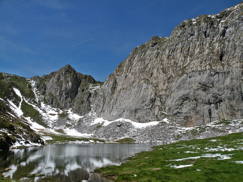 Avostanis - foto povečava