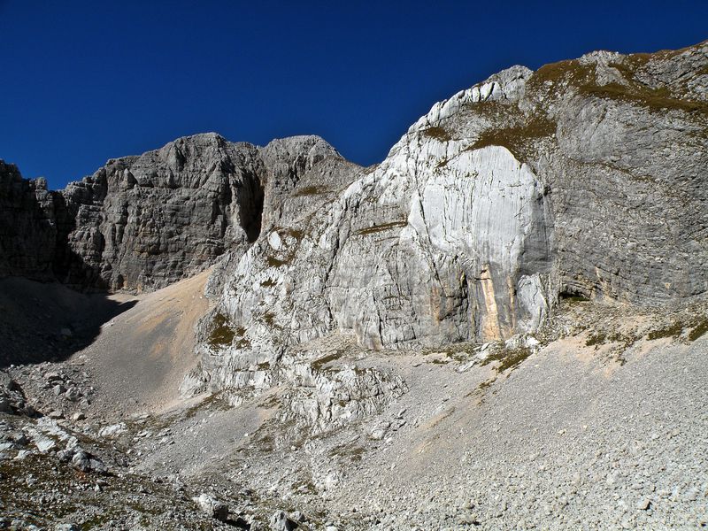 bovški gamsovec