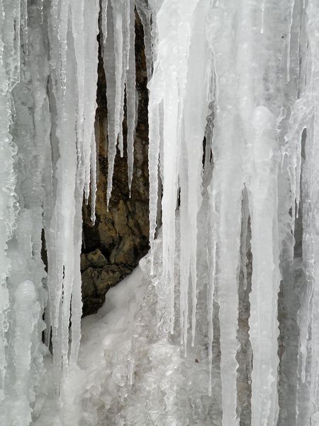 Dobršnik - foto