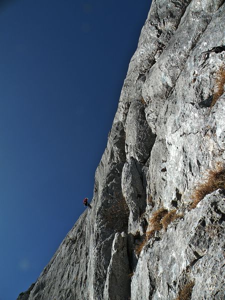 Sončkanje - foto povečava