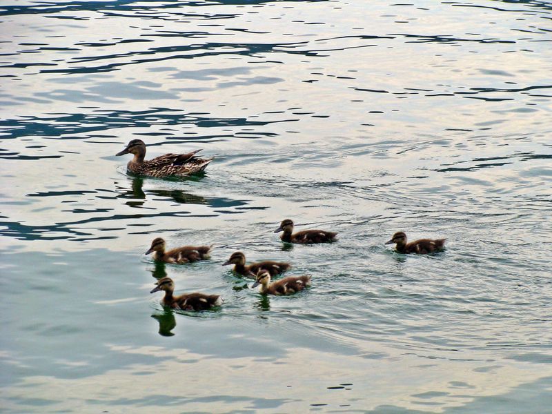 Lecco - foto povečava